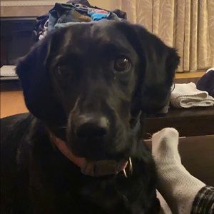 Meet your Posher, Matt